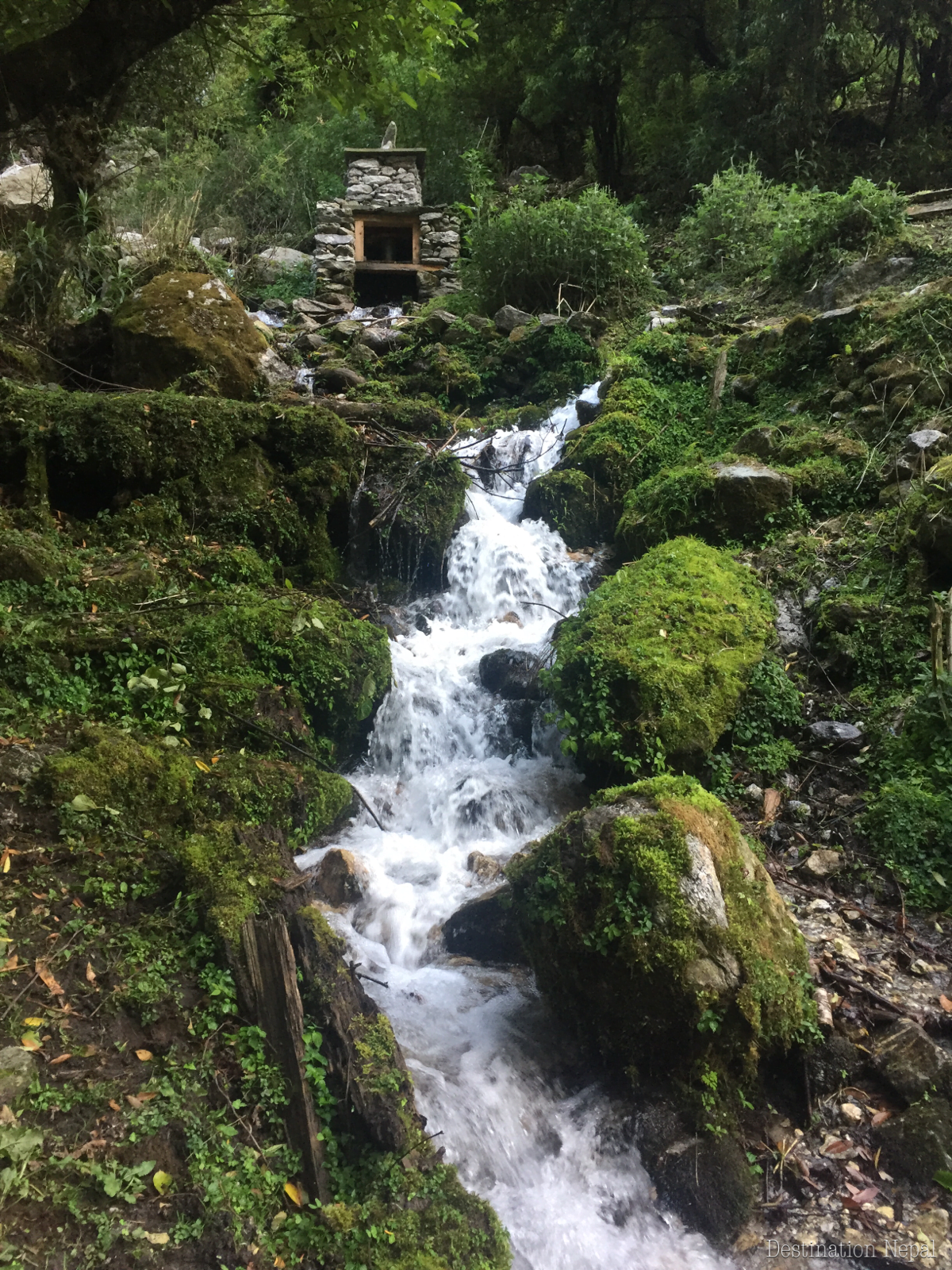 Manaslu Circuit Trek