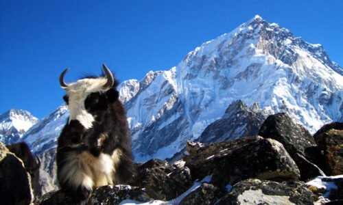 Everest base camp trek april 2022 13 Everest Base Camp Trek via Jiri