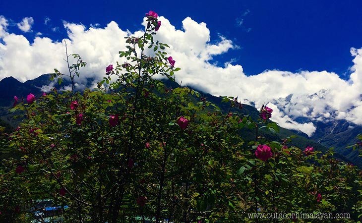 Weather in Everest Region- A Complete Guide