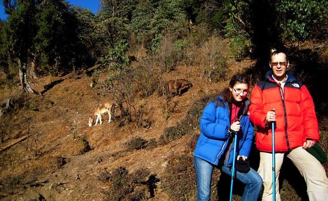 Ghorepani Poon Hill Trekking