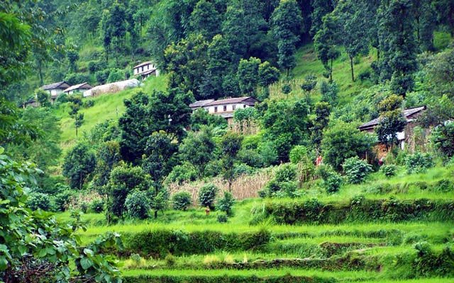 Dhampus village