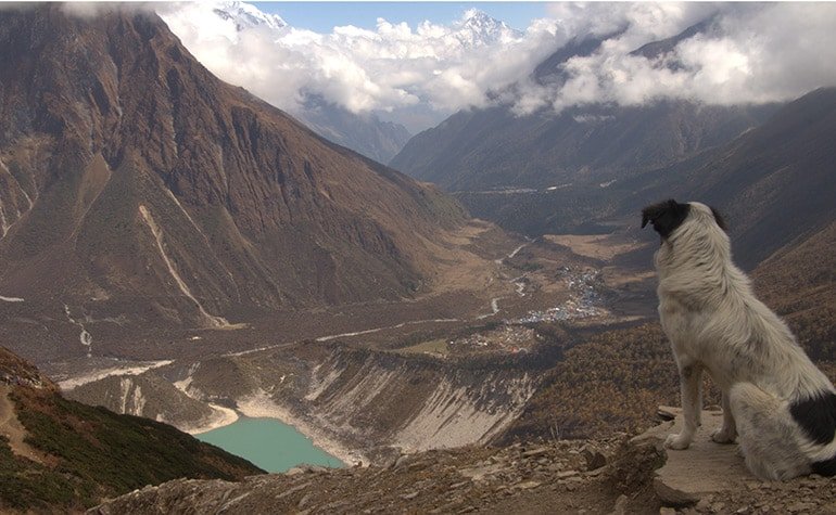 tsum valley