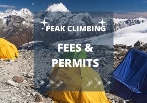 peak fees permits