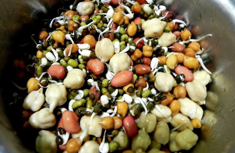 Nepali Festivals Guru Purnima, Gathemangal, Janai Purnima