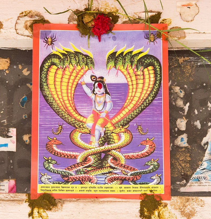 5 Diverse Nepali Hindu Festivals