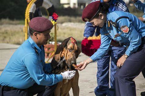 Festival of Lights Tihar in Nepal