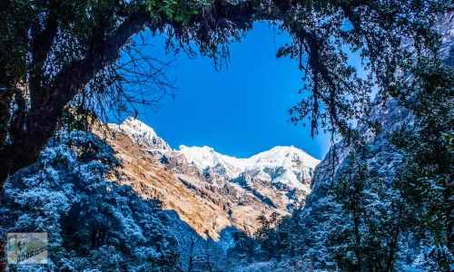 Langtang valley exploration 3 langtang 14 jpg