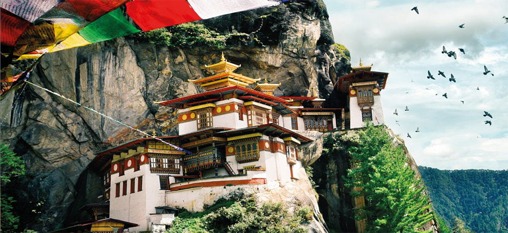 bhutan-tiger-nest
