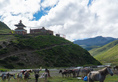 upper dolpo trekking