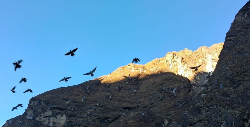 Langtang trek safety guide 2026: essential tips for a safe himalayan journey 2 Langtang region